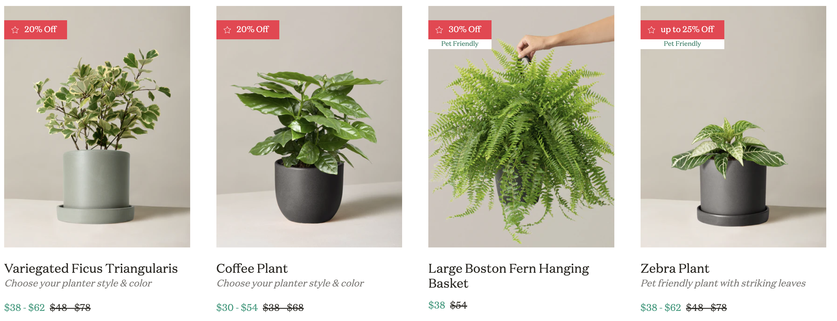 Up to 30% Off Special Deals on Plants