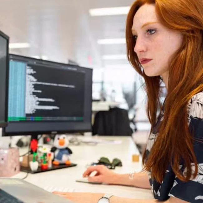 the-linux-foundation-category-image