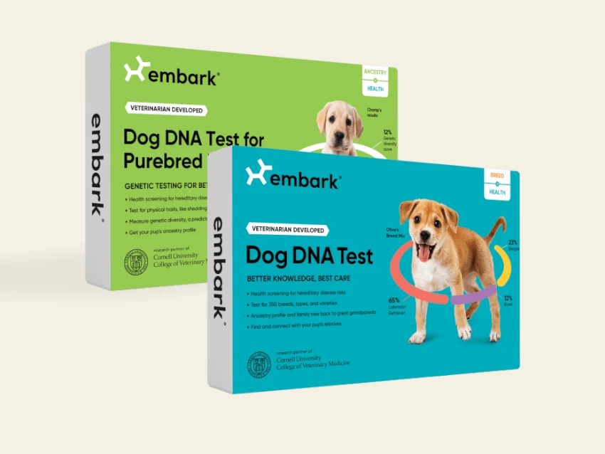 embark featured image