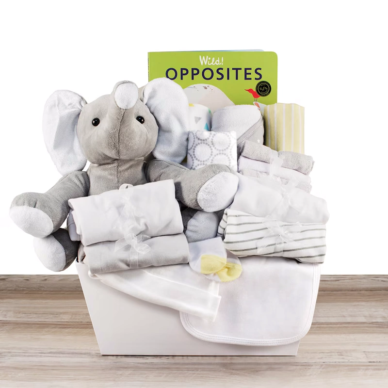 babybasket-welcome-home-image