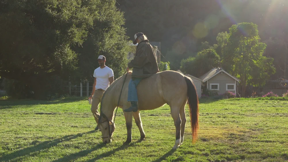 cowboy-colostrum-feature-image