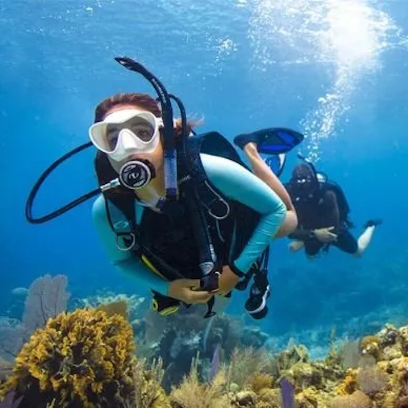 padi-category-image
