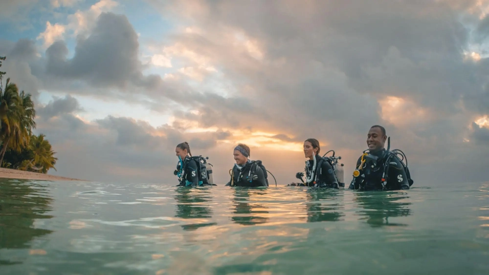 padi-inline-image