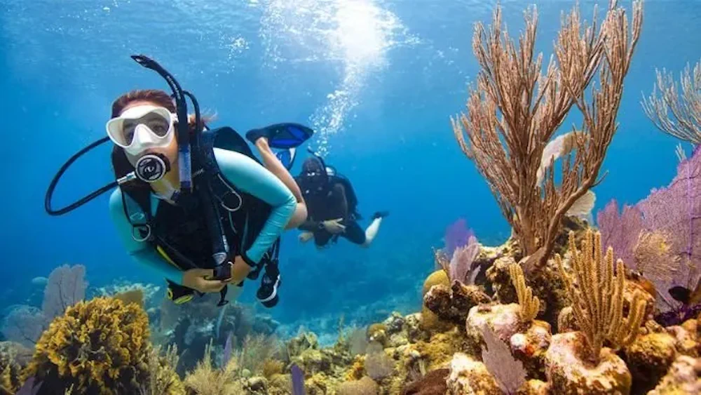 padi-open-water-diver-image