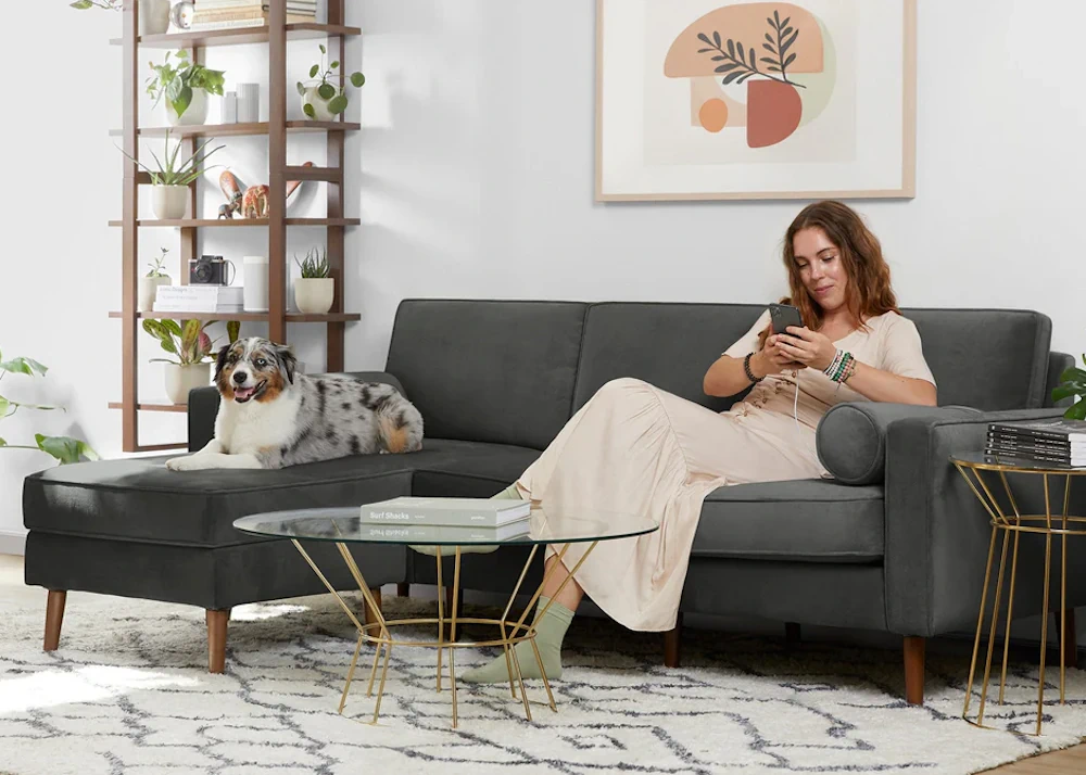 listicle-burrow-pet-friendly-image