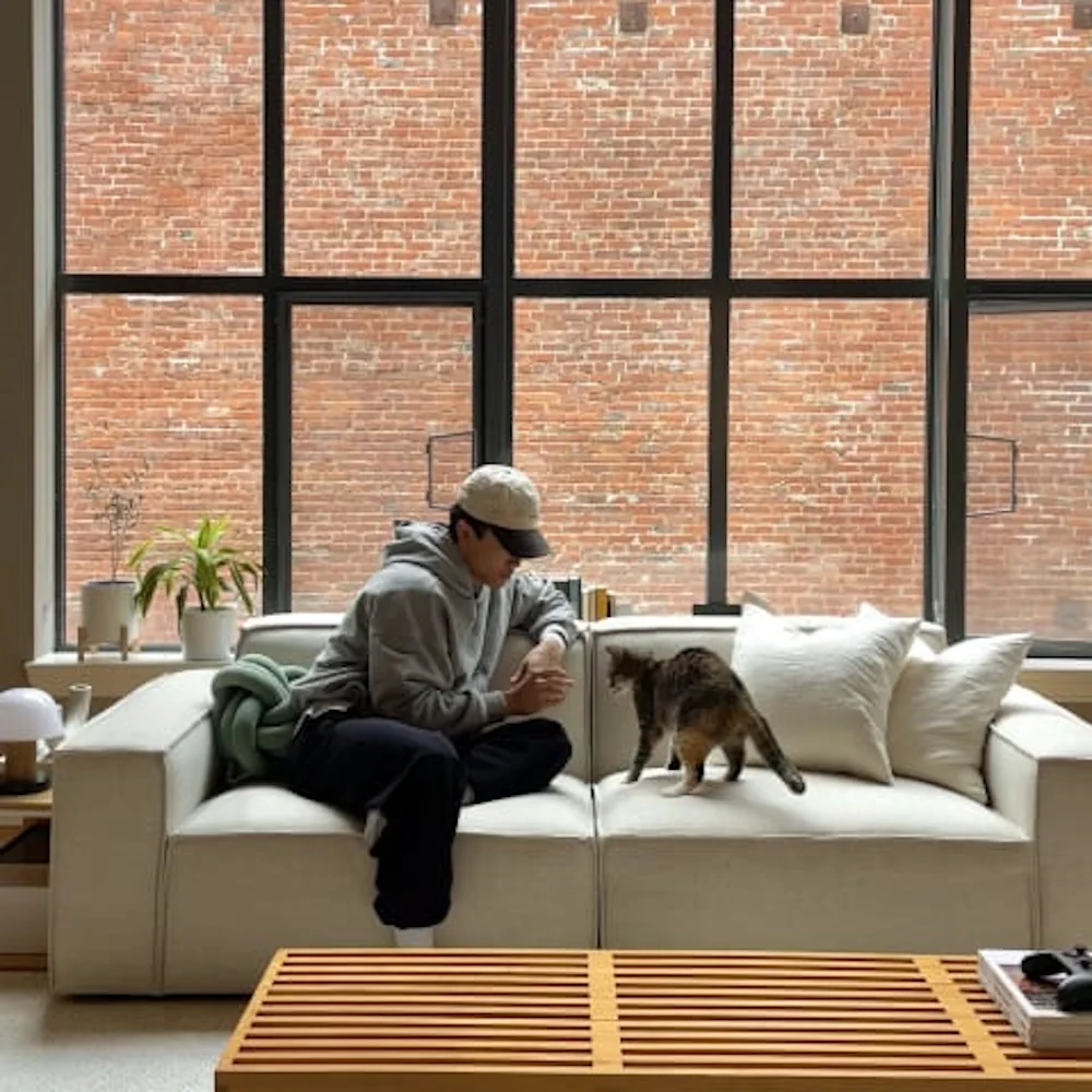 listicle-castlery-pet-friendly-image