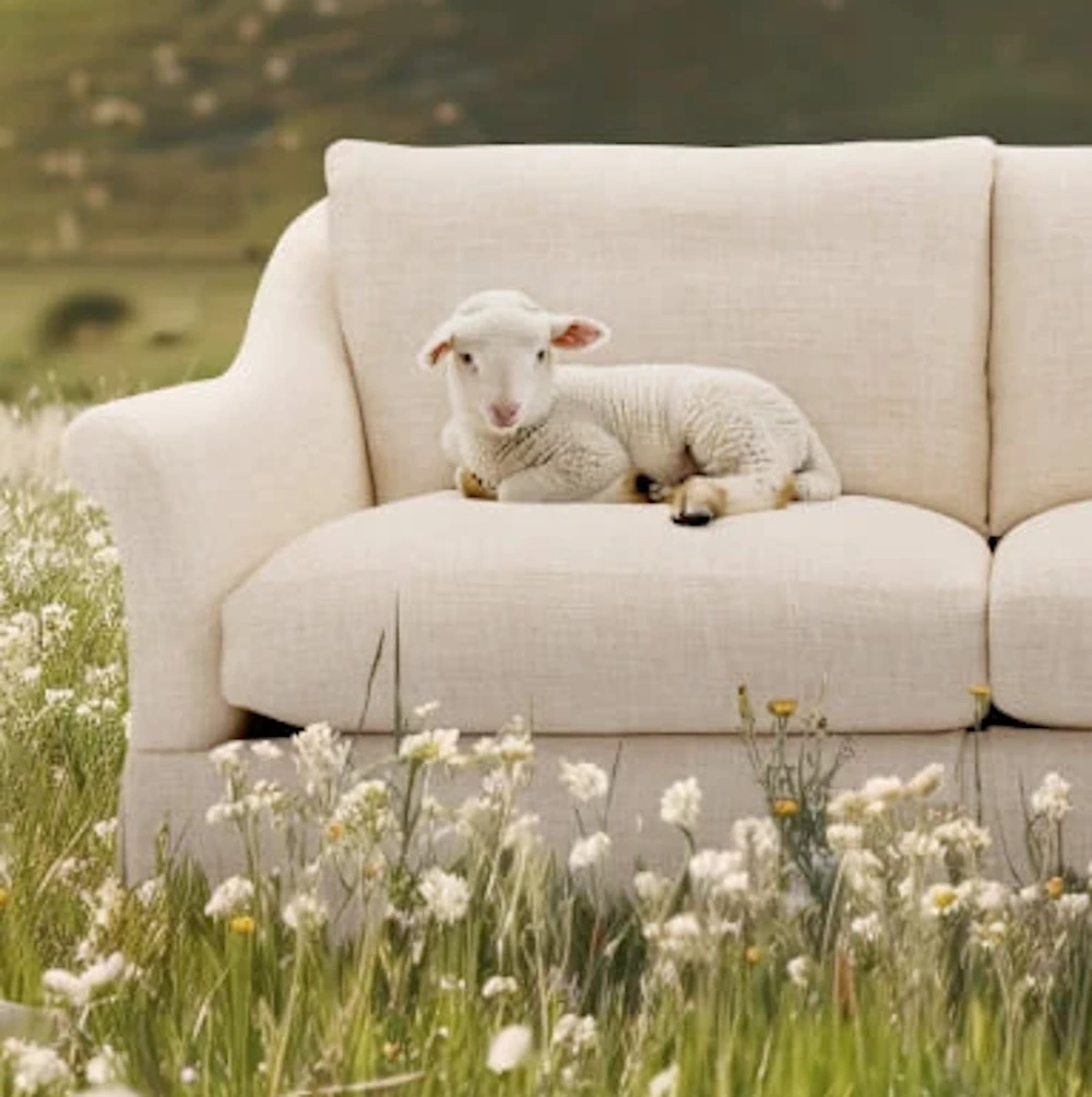 listicle-kathy-khou-pet-friendly-image