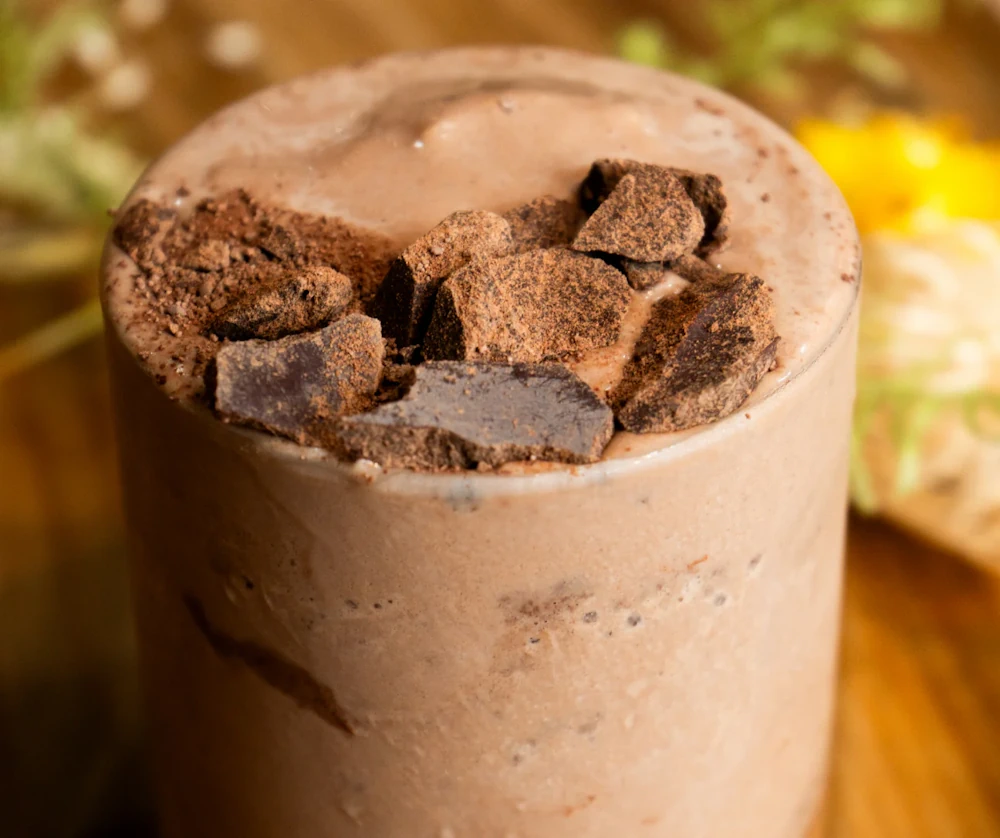 mudwtr-nourish-chocolate-protein-blend-starter-kit-image