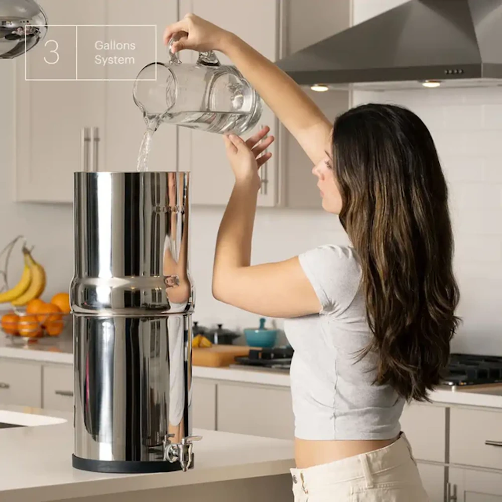 boroux-stainless-legacy-water-filter-system-image