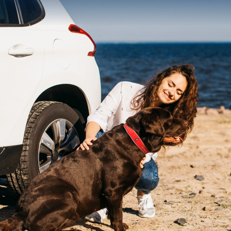 satellai-category-image