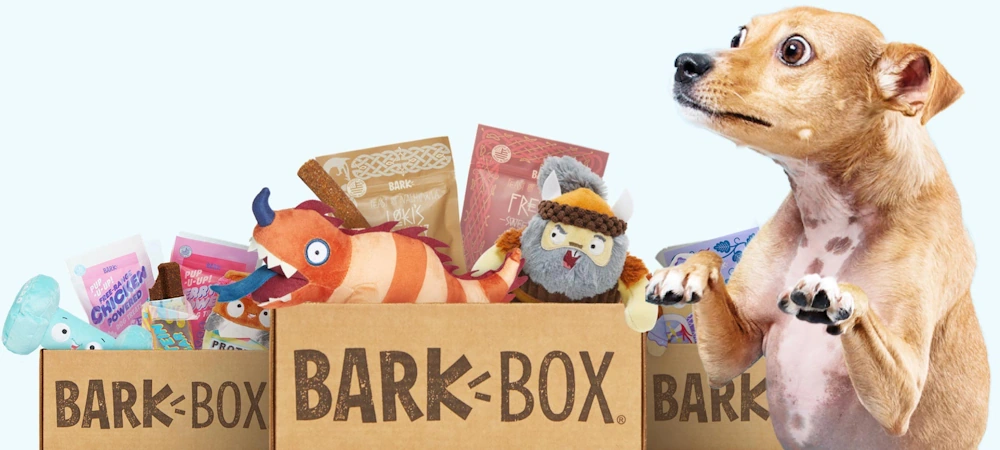 barkbox-feature-image