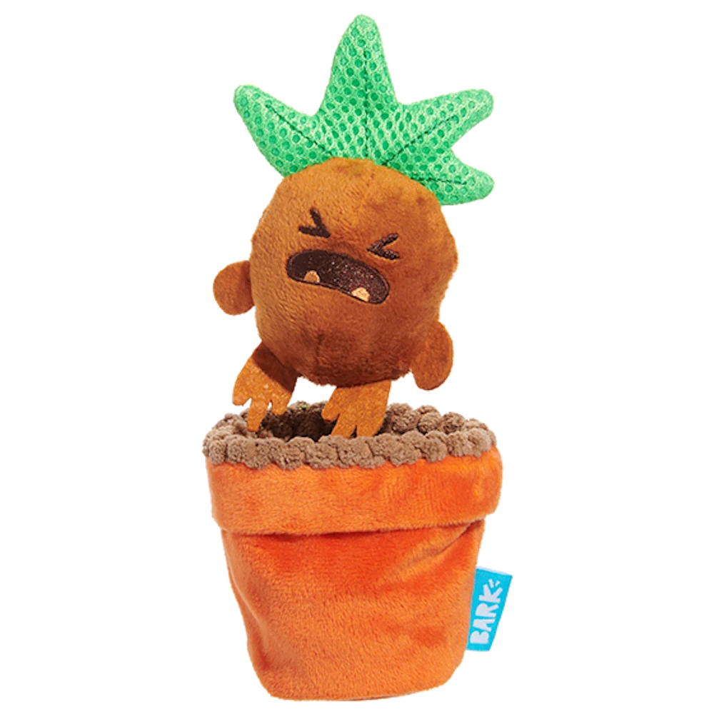 barkbox-mandrake-rip-and-reveal-image