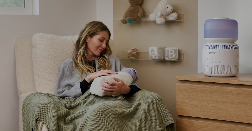 levoit-feature-image