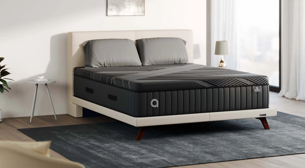 american-tail-feature-image