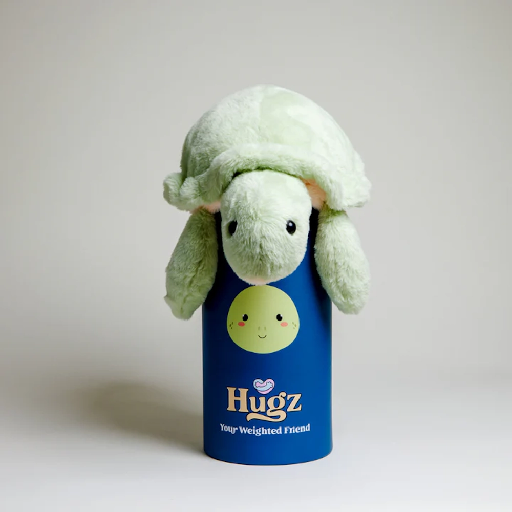 hugz-shelly-the-turtle-image