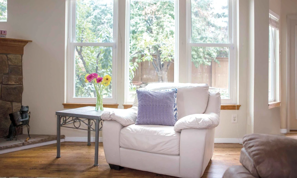 champion-windows-feature-image