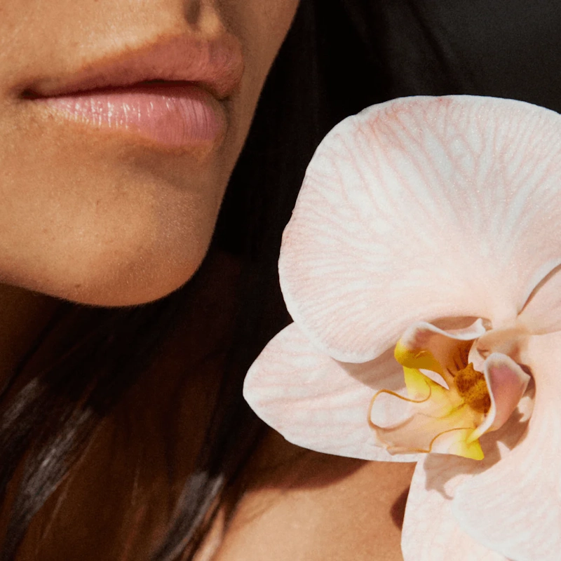 herbivore-botanicals-category-image