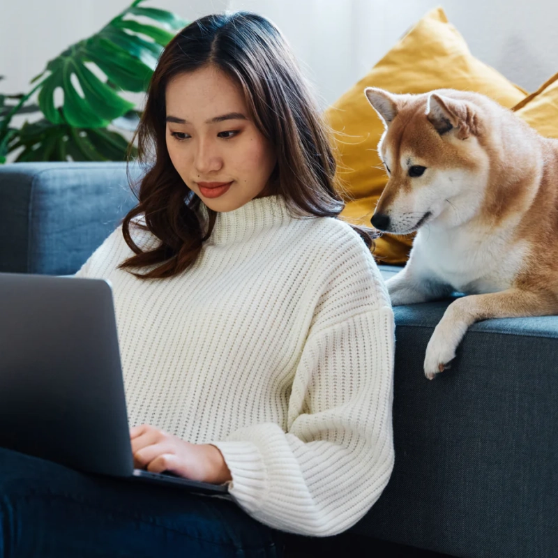 dutch-category-image