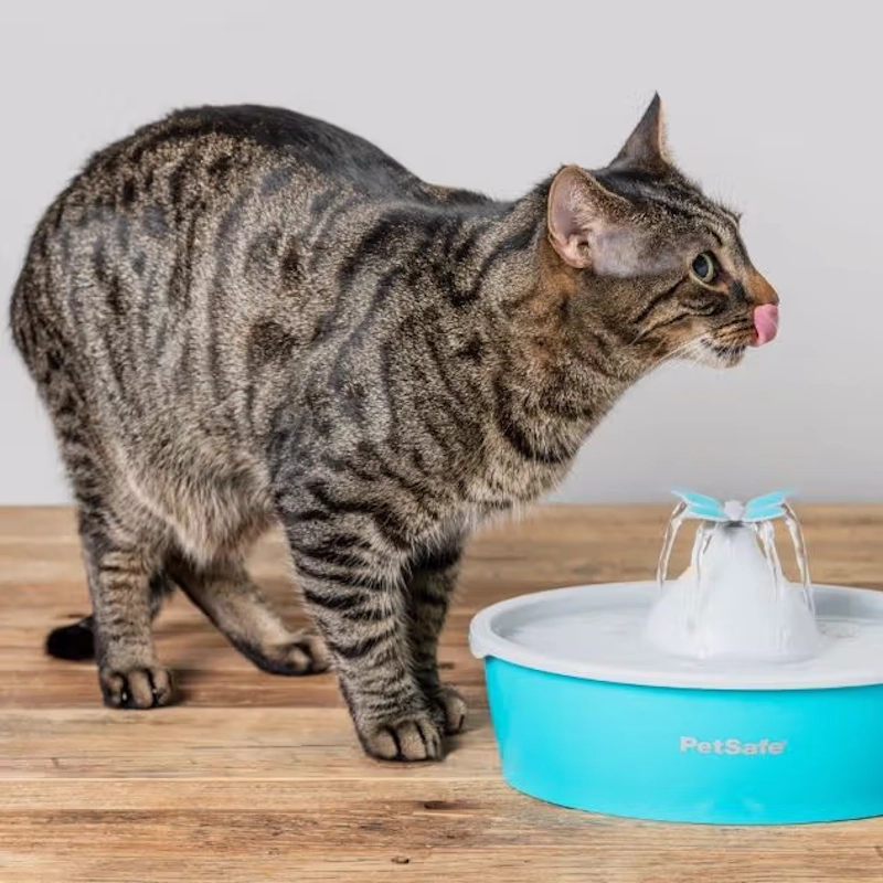 petsafe-category-image