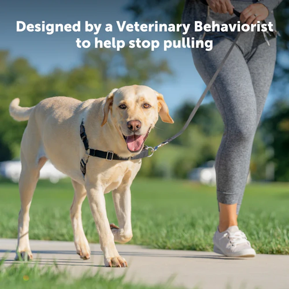 petsafe-easy-walk-harness-image