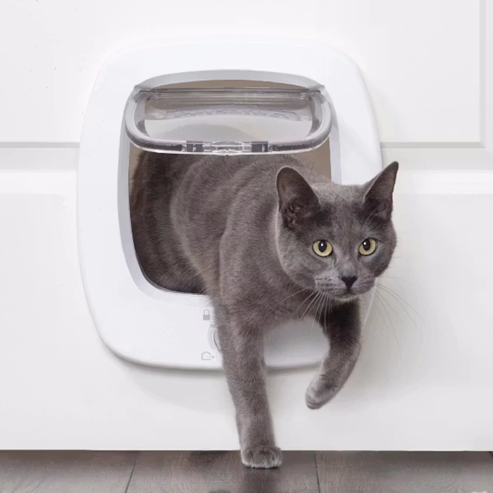 petsafe-feature-image